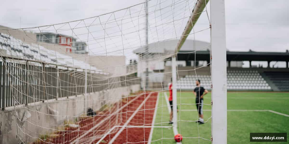 发现完美体育官方网站